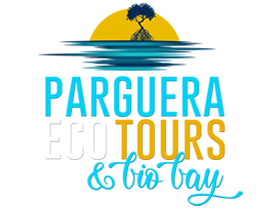 Parguera Eco Tours & Bio Bay